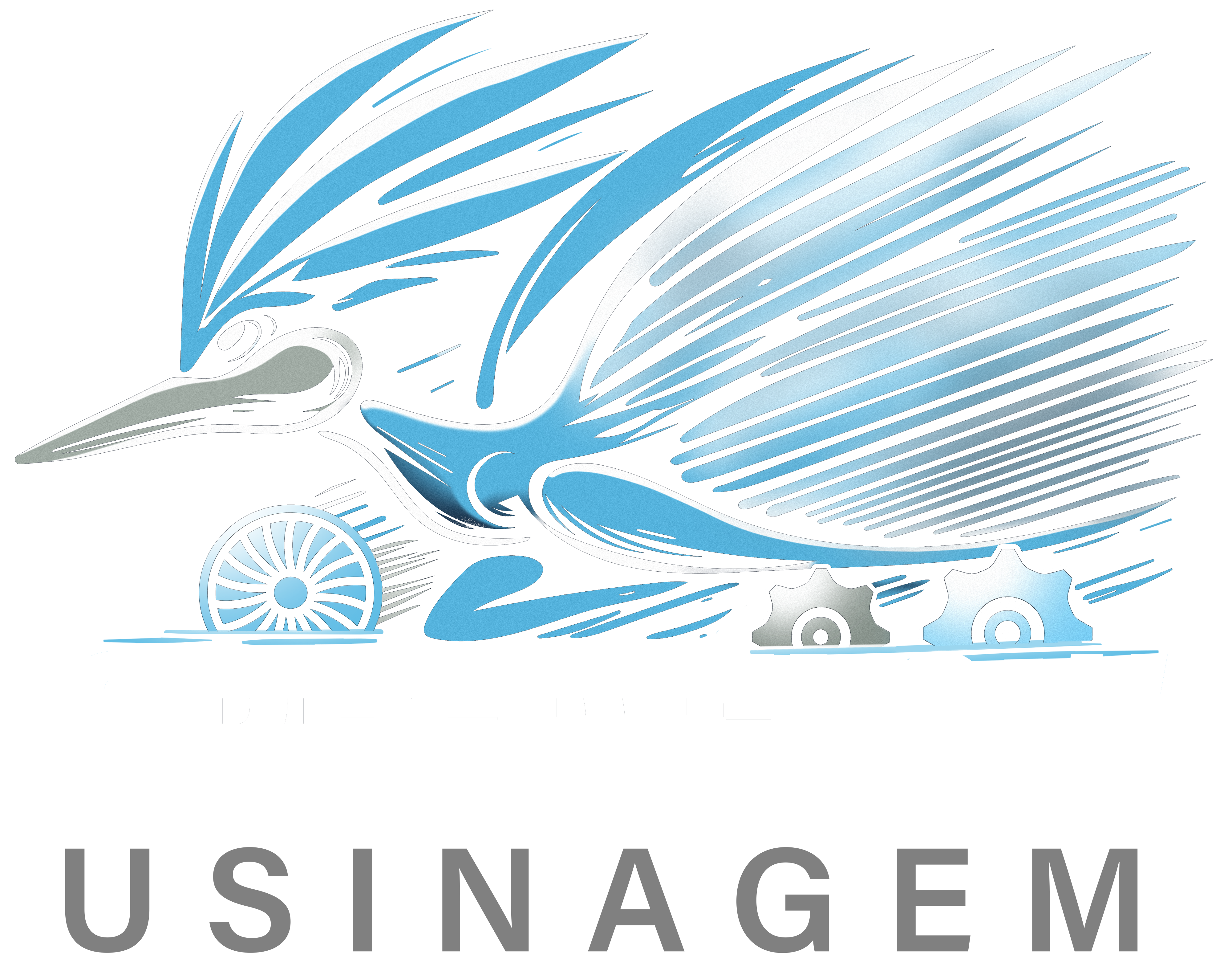 Logo Speed Flow